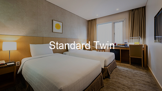 standard twin